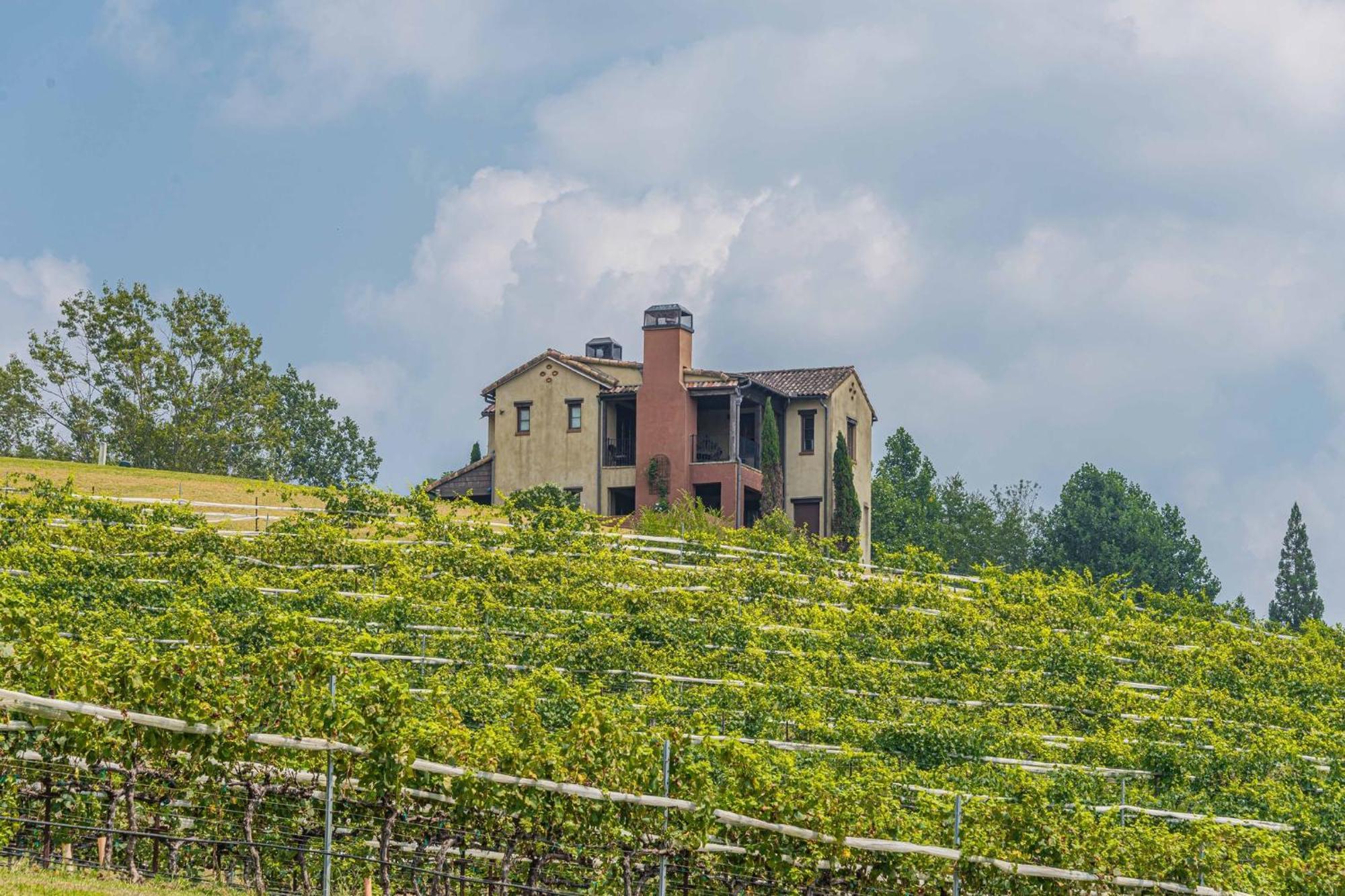 Rustic Roost-5 Acres, Fenced, Fire Pit, Rv Option & Mtn View Villa ดาห์ลอนีกา ภายนอก รูปภาพ